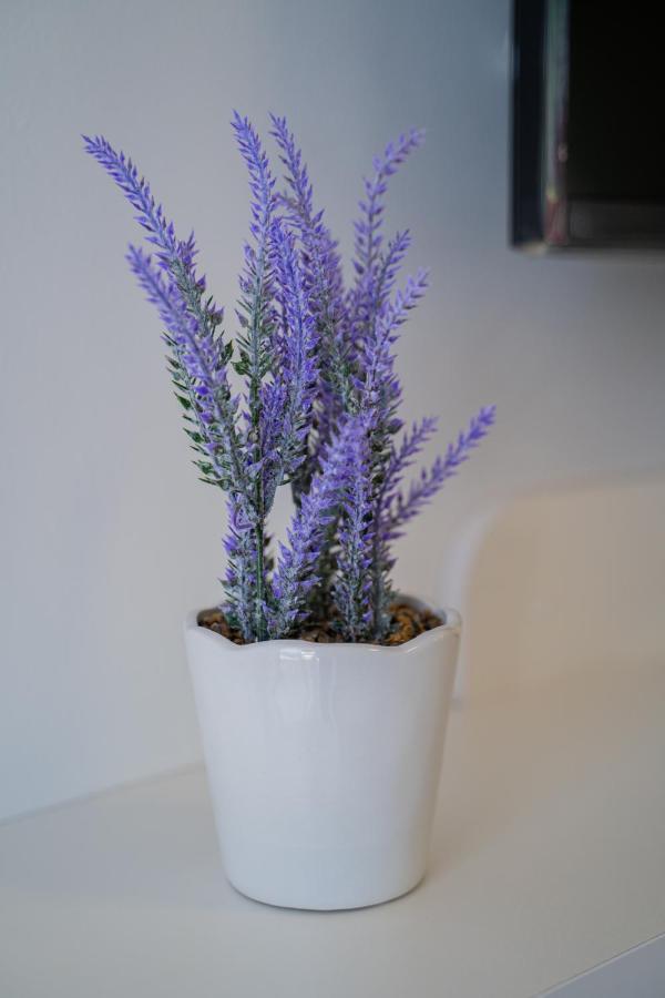 Laurel Tisno
